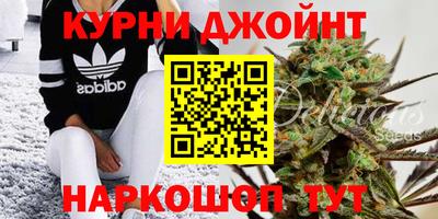 ALPHA-PVP Новозыбков