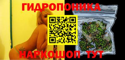 дживик Новодвинск